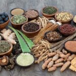 THE KEFIR & KOMBUCHA COMPAGNIE